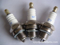 仙居縣志遠電工器材廠 專業(yè)電工器材的可靠供應(yīng)商